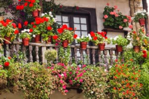 Balkon mit Blumen
