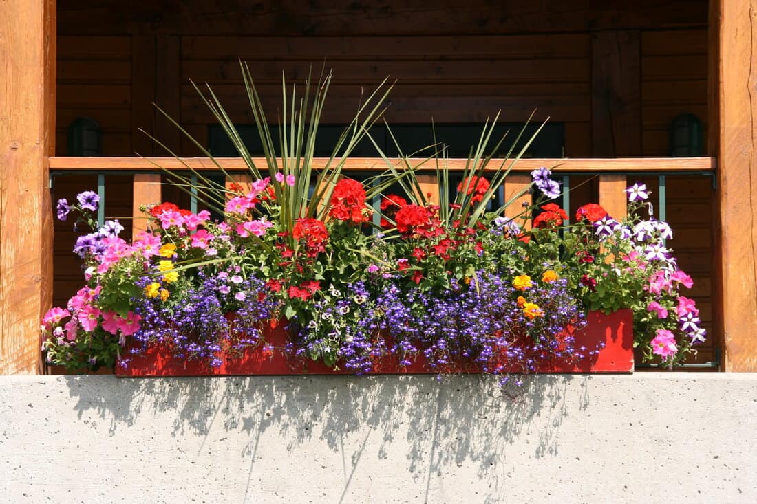 Balkon mit Blumen 