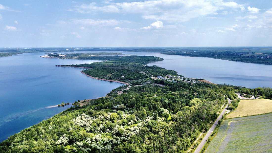 Kleine Wunder am Wegesrand vom Goetheradweg Geiseltalsee