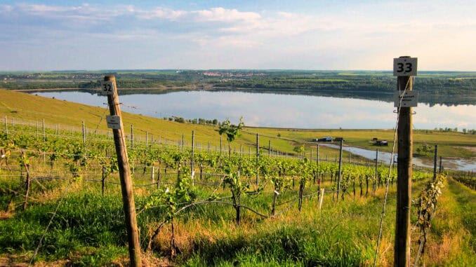 Bad Lauchstädt Klobikau Weinberg am Geiseltalsee Bad Lauchstädt Klobikau Weinberg am Geiseltalsee