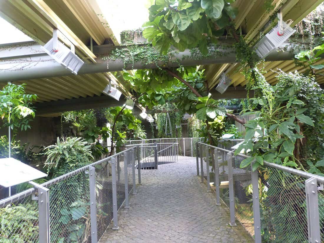 Die 10 schönsten Ausflugsziele rund um Bad Lauchstädt Krokodilhaus Bergzo Halle
