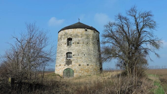 Turmwindmühle in Schafstädt bei Bad Lauchstädt